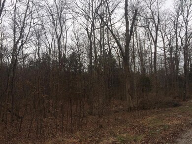 58 Lakeview Rd unit 3, Burnside, KY 42519 - photo 2