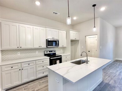 113 Monarch Ln, Poolville, TX 76487 - photo 4