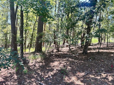 1109 Castle Rd, Grovetown, GA 30813 - photo 3