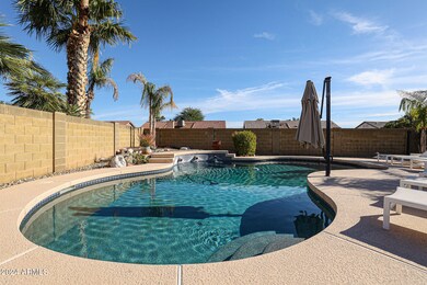 Resort Style Pool