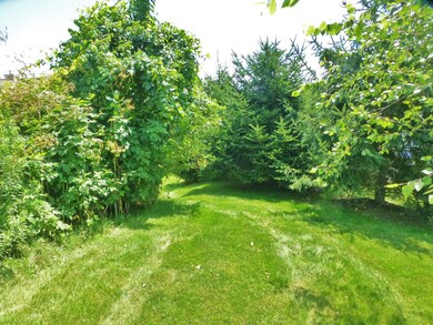Nearby Woods