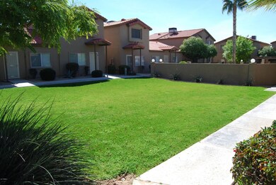 Common Area Lawn