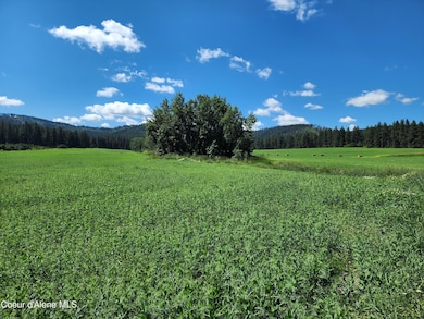 NKA Desmet, Desmet, ID 83824 - photo 7