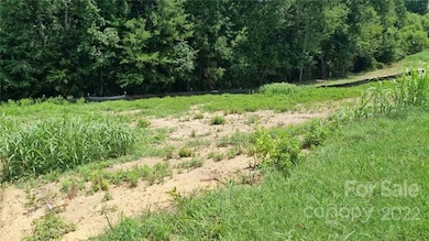 4020 Hereford Ln unit 53, Dallas, NC 28034 - photo 6