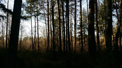 104 SE 288th St, Graham, WA 98338 - photo 6