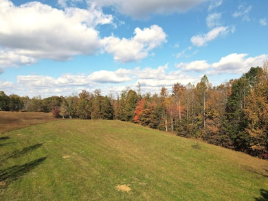 0 Cookeville Hwy unit RTC3047483, Smithville, TN 37166 - photo 3