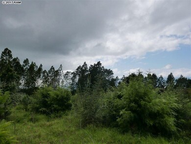 0 Haleakala Hwy, Kula, HI 96790 - photo 7