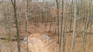 0 Rustling Oaks Dr, Waverly, TN 37185 - photo 5