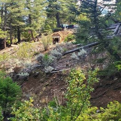 TBD Badger Microwave Rd (Blm Tc4) Rd, Dillon, MT 59725 - photo 2