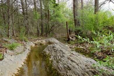 Creek