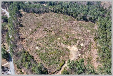 Lot #3 River Rd, Bridgewater, NH 03222 - photo 3