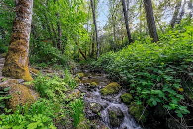 988 Savage Creek Rd, Grants Pass, OR 97527 - photo 2