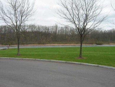 View of Cayuga & Seneca Canal