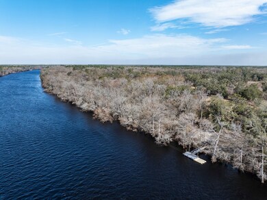 6780 NW 41st Cir, Bell, FL 32619 - photo 2