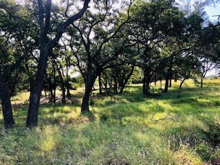 0 Ranch Road 965, Fredericksburg, TX 78624 - photo 5