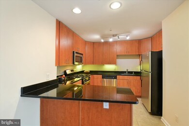 1138 Cove Rd unit 201, Annapolis, MD 21403 - photo 5