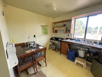 12753 Road R, Cahone, CO 81320 - photo 6