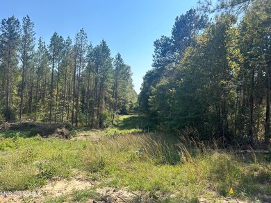 0 Rails Rd, Georgetown, MS 39078 - photo 3