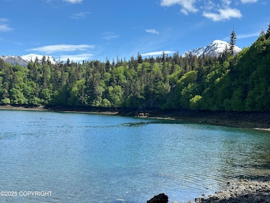 L5A Halibut Cove