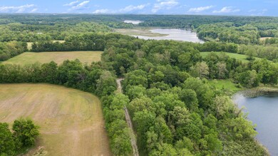 024_dji_0601