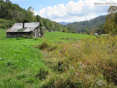 1411 Cabbage Creek Rd, Creston, NC 28615 - photo 6