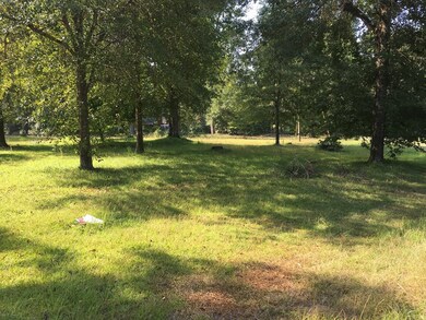 5975 Old Augusta Hwy, Harlem, GA 30814 - photo 4