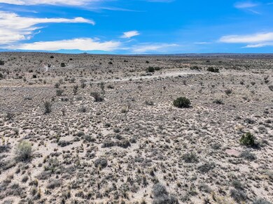 1103 Tascal Ct NE, Rio Rancho, NM 87144 - photo 7