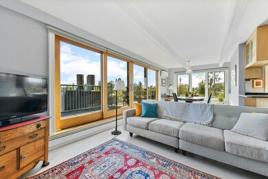 45 Trowbridge St unit PH, Cambridge, MA 02138 - photo 3