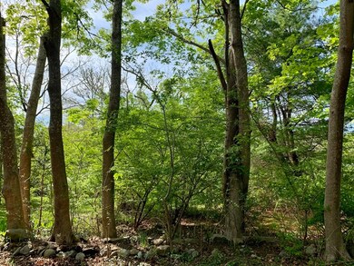 0 Pitcher St, Marion, MA 02738 - photo 2