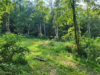 5855 Olney Run Rd, McConnelsvle, OH 43756 - photo 7