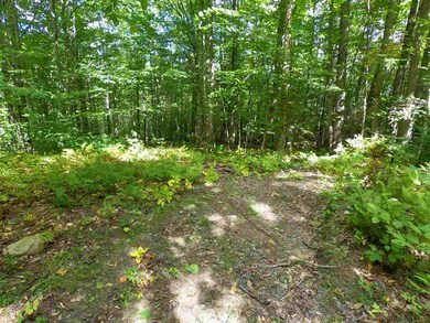 0 Beech Hill Rd unit 13 4773150, Warren, NH 03279 - photo 5