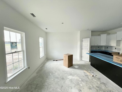 126 Mason St, Princeton, NC 27569 - photo 5