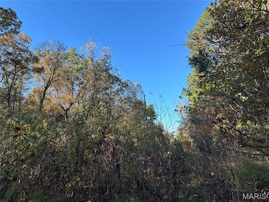 00 County Road 4, Belleview, MO 63623 - photo 6