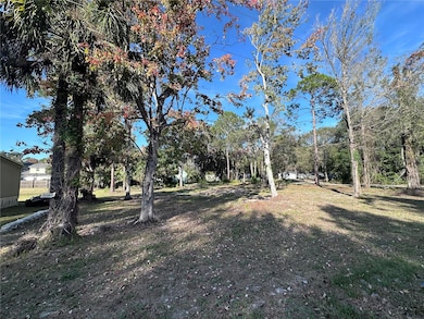 TBD E Lake St, Palatka, FL 32177 - photo 3