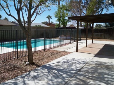 Looking at the Back patio