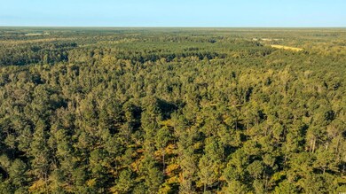 TBD Terrell's Bay Rd, Centenary, SC 29519 - photo 7