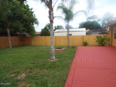 back yard