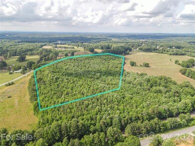 +/- 25.5 acres Bell Farm Rd, Statesville, NC 28625 - photo 5