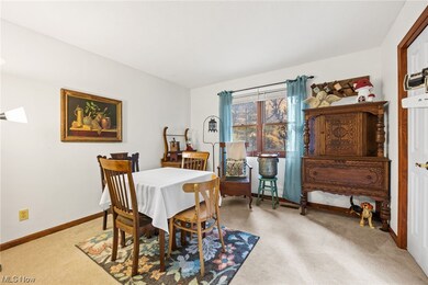 4108 Everett Rd, Richfield, OH 44286 - photo 6