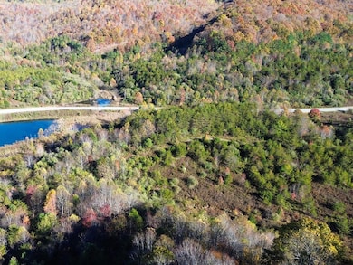 0 White Oak Rd, Duff, TN 37729 - photo 7