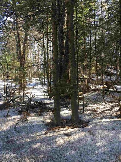 23 Littleton Rd unit lot 23 (Survey map, Whitefield, NH 03598 - photo 2