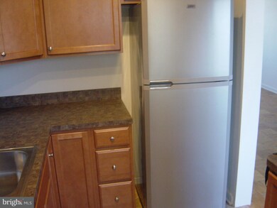 6604 10th St unit B1, Alexandria, VA 22307 - photo 5