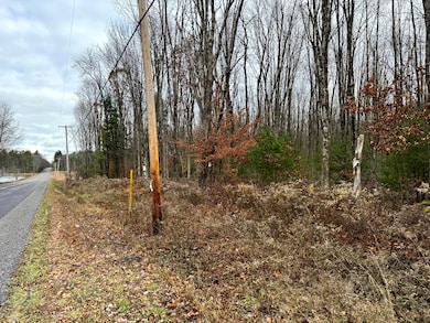 0 Preston Hill Rd, Camden, NY 13316 - photo 3