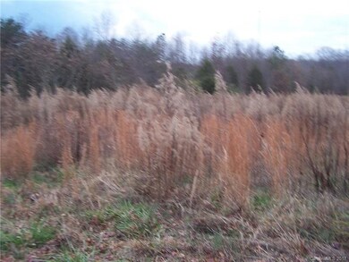 196 Treebark Rd, Statesville, NC 28625 - photo 3