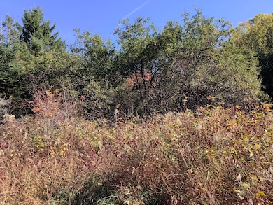 234 Ladner Rd, Easton, ME 04740 - photo 7