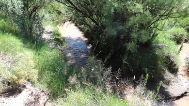 St.Johns lot 109 Little Colorado River
