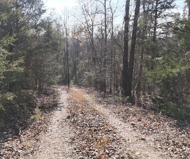 2465 Denton Ferry Rd, Cotter, AR 72626 - photo 7