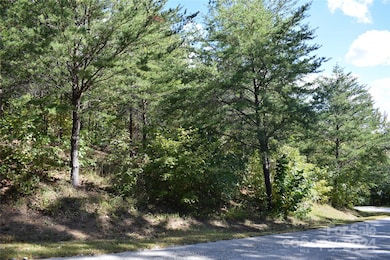 0 Holland Dr unit 3 CAR4192282, Columbus, NC 28722 - photo 7