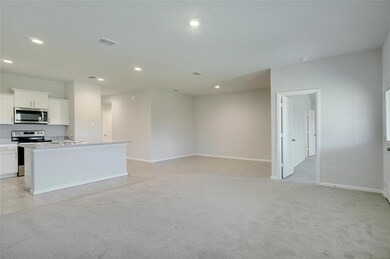 113 Anderson Mill St, Azle, TX 76020 - photo 6