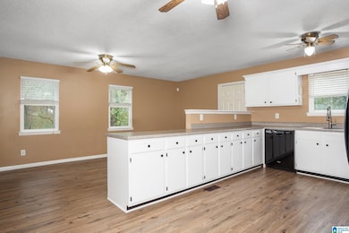 4218 Water Tank Hill Rd, Pell City, AL 35128 - photo 7